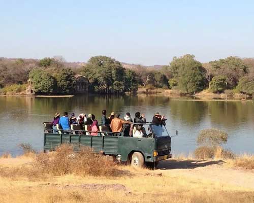 Ranthambore Kachida Valley